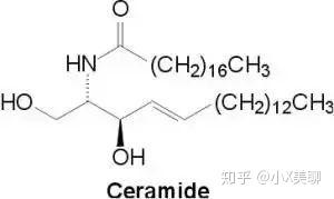 神经酰胺和烟酰胺 ,到底选哪个最适合自己呢?让我们一起来扒一扒.