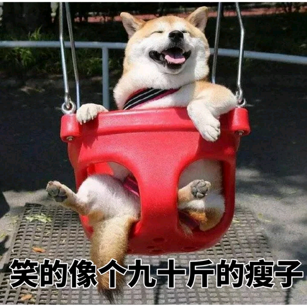 有哪些超级可爱的柴犬的表情包?