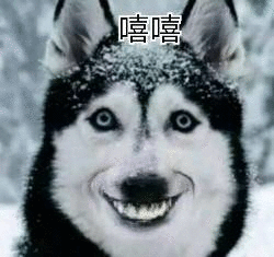 大家好哇,今天我们来分享一期搞笑的表情包,鹅鹅鹅鹅鹅鹅鹅……咳