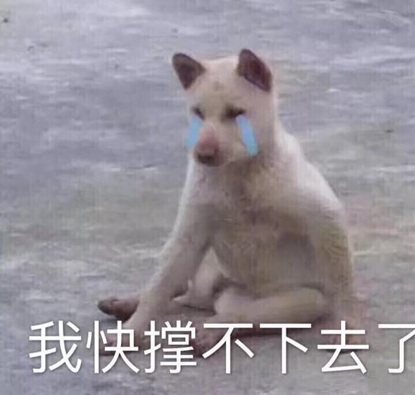 哪些表情包让你看一次笑一次?