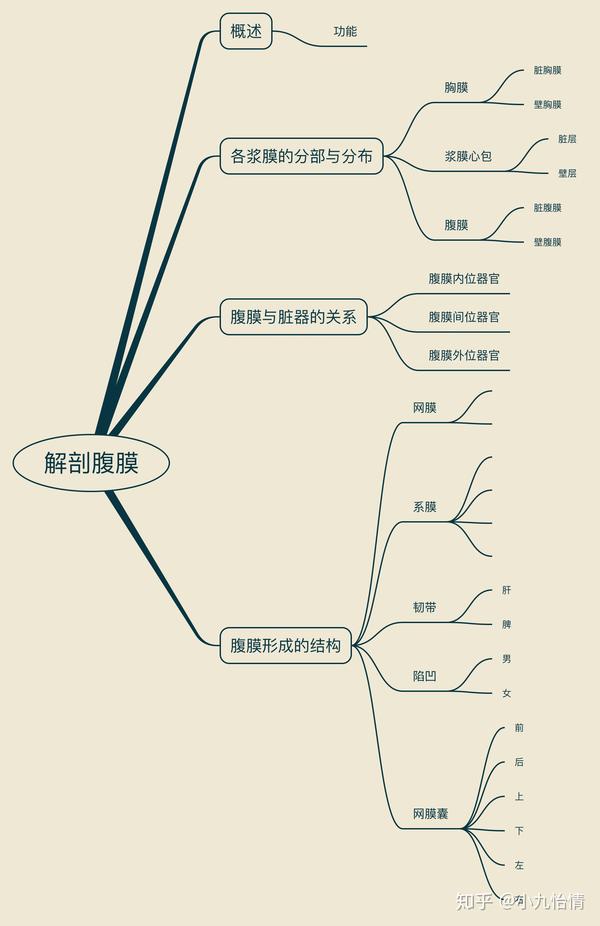 系统解剖学思维导图9内脏学-腹膜