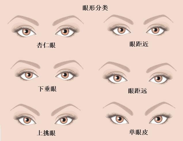杏仁眼是大众认知中的"标准眼形",对比下图大家很容易就能找出自己的