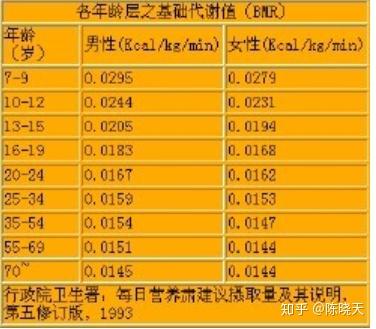 基础代谢基本概念