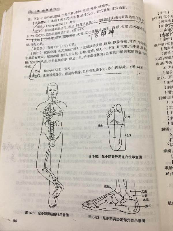 足少阴肾经是连接脏腑最多的经络,没有之一,能治肾膀胱肝肺心脊髓舌