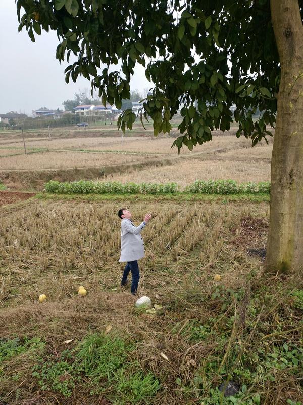 如何看待小伙带女神回农村老家过年洋气漂亮惹人羡慕不干活却遭家人