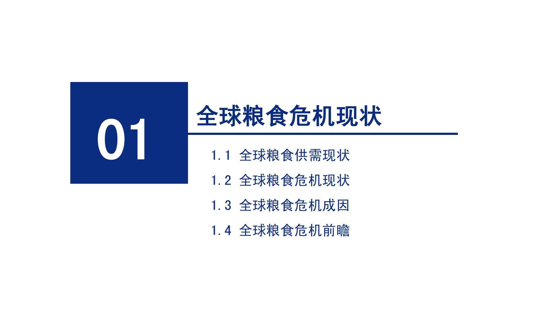 2021全球粮食危机背景下的中国粮食安全