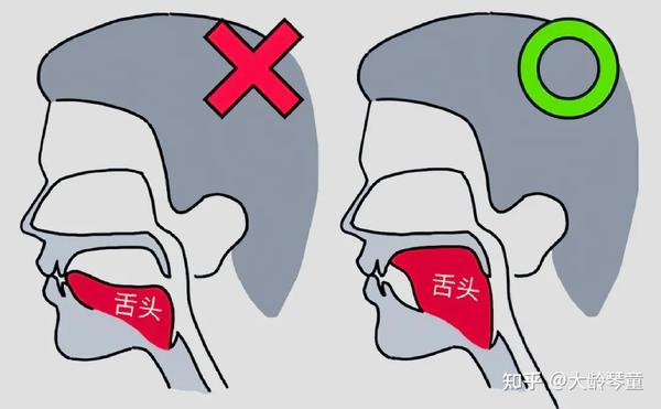 根据现代口腔动力学的观点,整条舌头上抬,抵住上颚,才是最自然,最健康