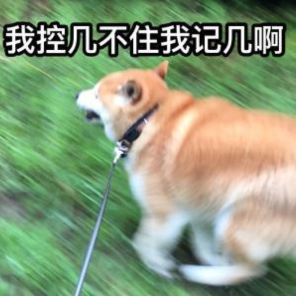 能把你手机里的柴柴表情包都交出来吗?