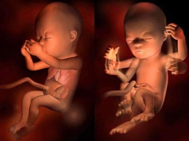 怀孕14周肚子平平的,吃饱才会鼓一点,是胎儿发育很小吗?