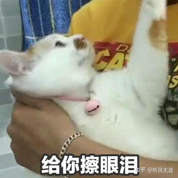 有没有给女朋友发的表情包?