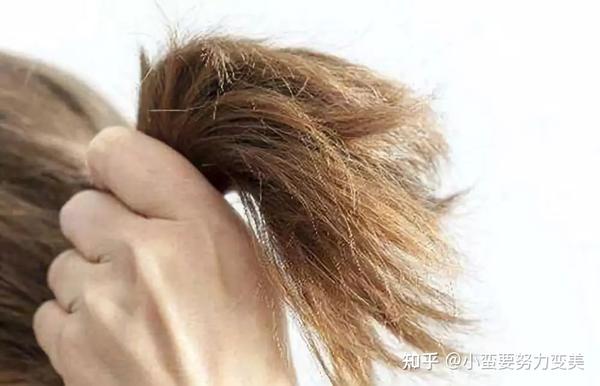 为什么洗发护发发膜一个没少头发依旧枯黄毛躁分叉