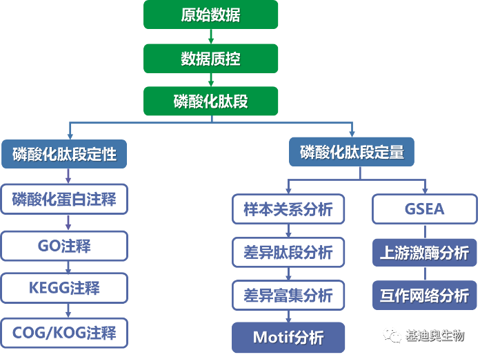 磷酸化蛋白质组学分析思路 知乎