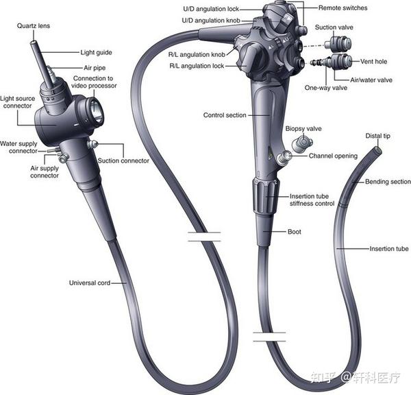 软管式内窥镜的结构图 知乎