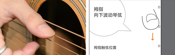 【歌芮拉吉他零基础入门教学】第三课:左右手分工