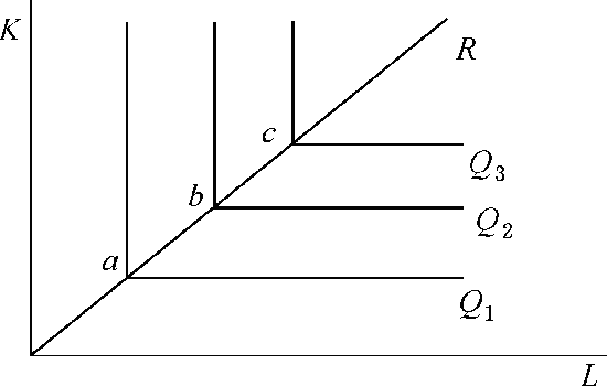 1.里昂惕夫生产函数