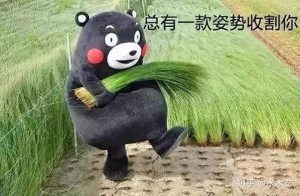 撩不到妹?你肯定是「潮人专属表情包」没用对!