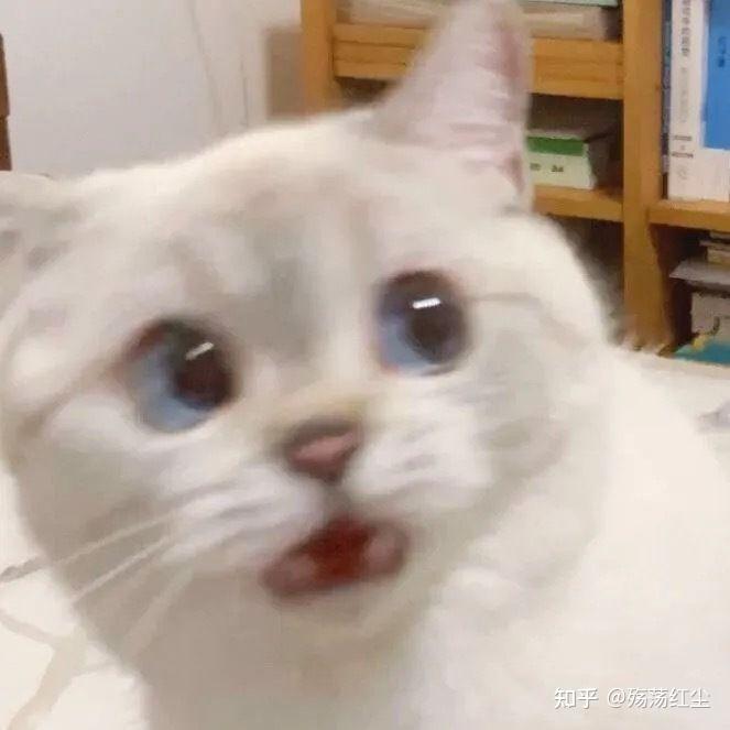 有没有动漫沙雕一点的女生头像