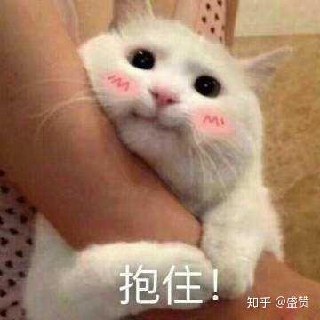 有什么适用于和老公/男票撒娇的可爱表情包?