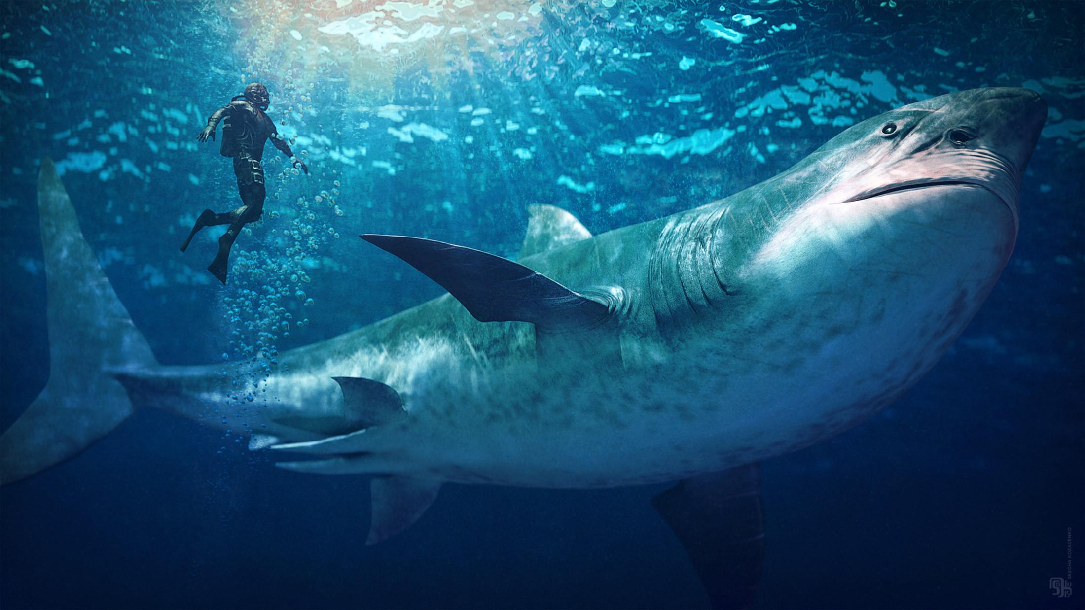事实上巨齿鲨很不可能还在这个星球上生存,如果它还在,我们肯定早就