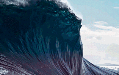 珍鲹越出海面,飞捕海鸟