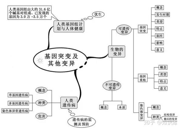 高中生物思维导图来袭,同学们快快收藏分享!