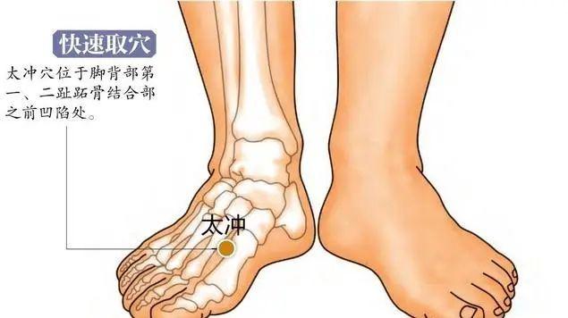 属足太阴脾经;在小腿内侧,内踝尖上3寸,胫骨内侧缘后际处.