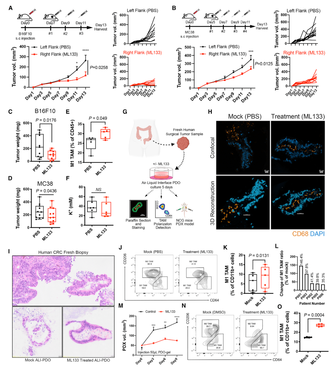 Cell Met 浙江大学团队发现Kir2 1促进肿瘤相关巨噬细胞的形成机理 知乎