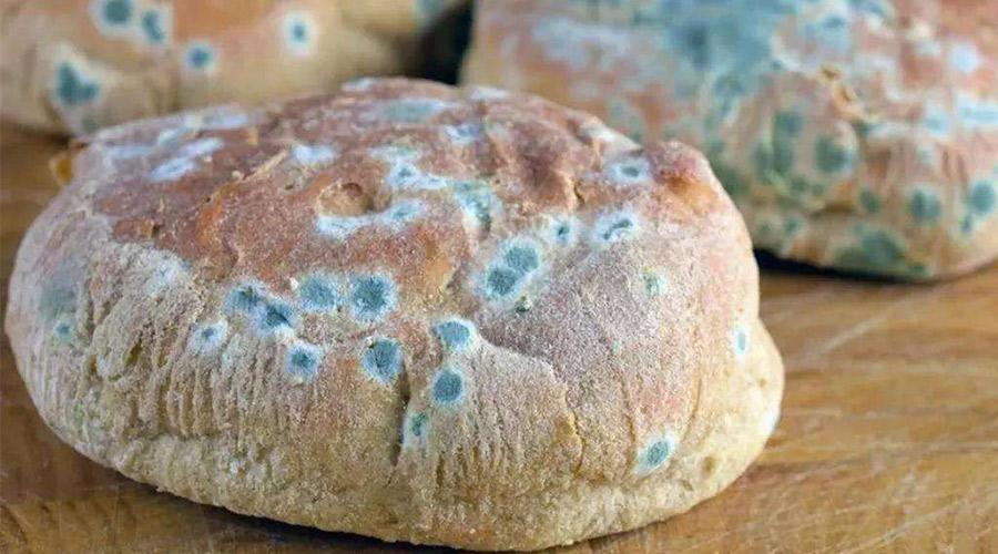 关于面包糕点霉菌滋生的原因和解决方法