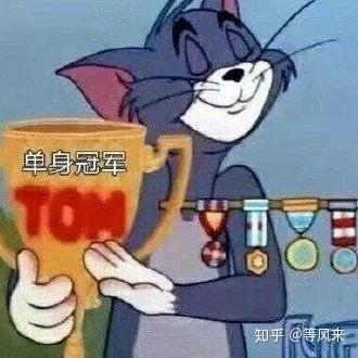 有没有关于汤姆猫或者柴犬的图片?适合当头像的?