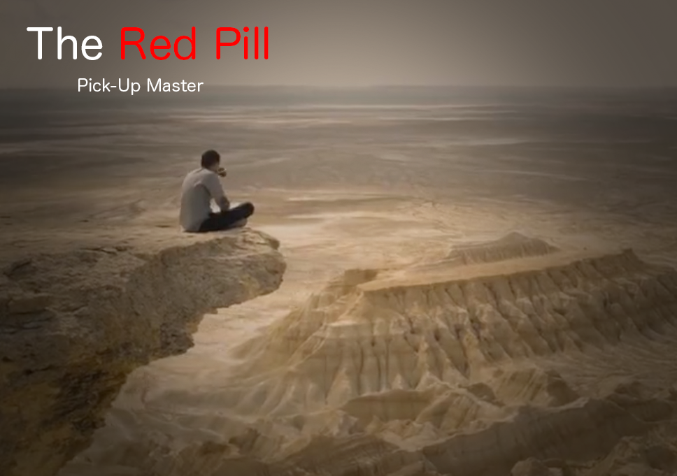 【red pill】关于男人自我成长的秘密,转盘子的真谛!