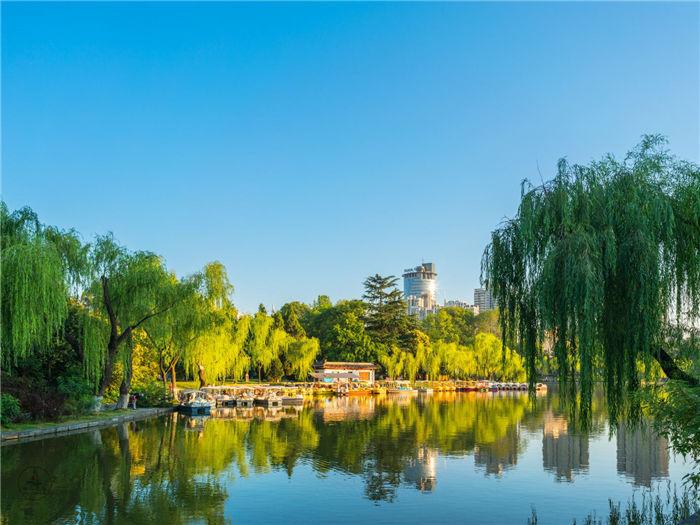 西安最大的城市公园春天在湖边赏新柳还有童年游乐场的记忆