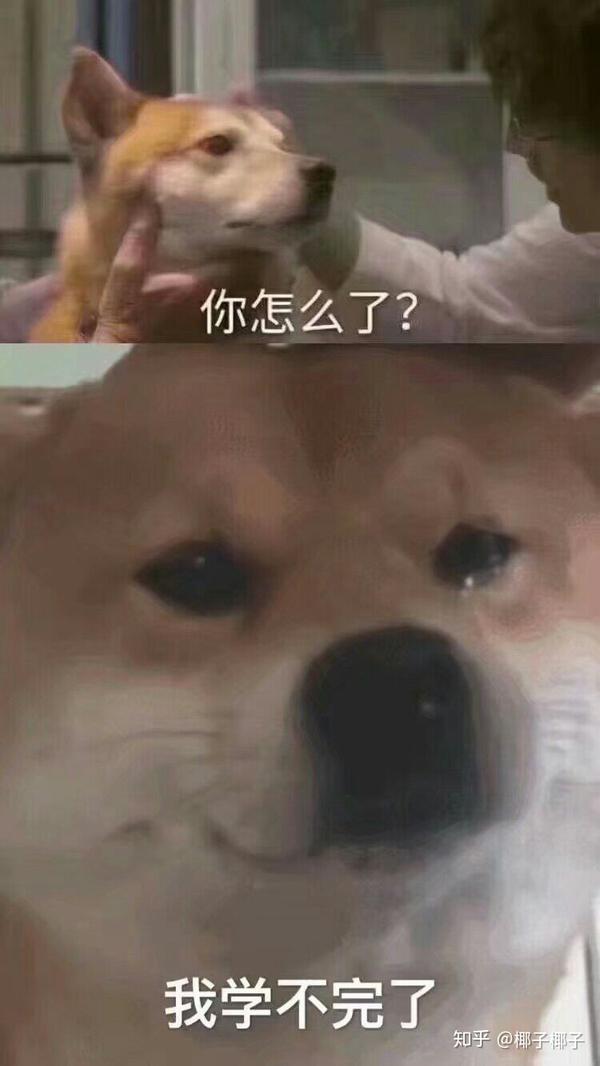 有什么万能表情包?