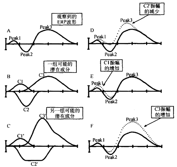 事件相关电位5erp分析准则