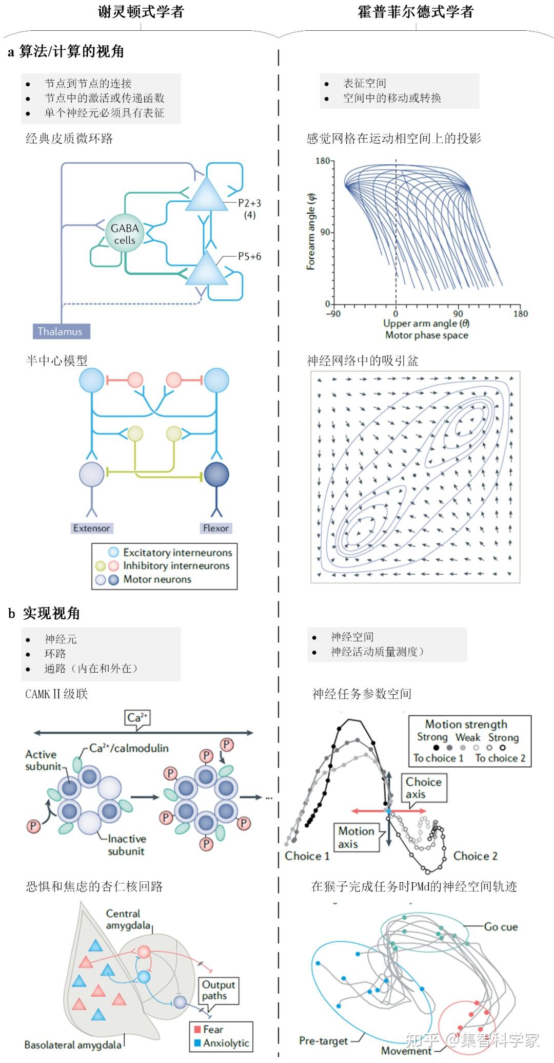 神经复杂系统前沿关于认知大脑的两种观念 知乎