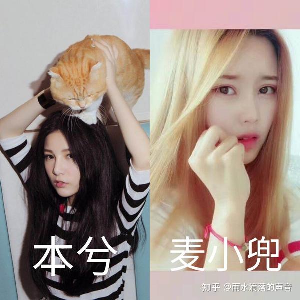 麦小兜有没有可能是整容后的本兮?