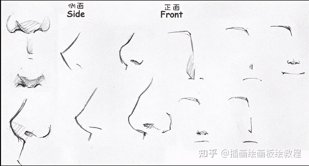 【绘画教程】各角度人物脸部画法全解!送给画不好人物