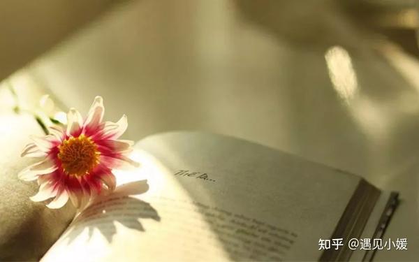 人生苦短,在变老的路上,有时间就善待自己