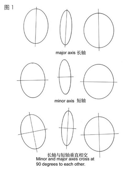 椭圆形画法 zhuanlan.zhihu.com