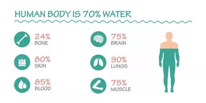 人体所有的生化反应都需要水的参与,一个健康的成年人体重的60%-70%都