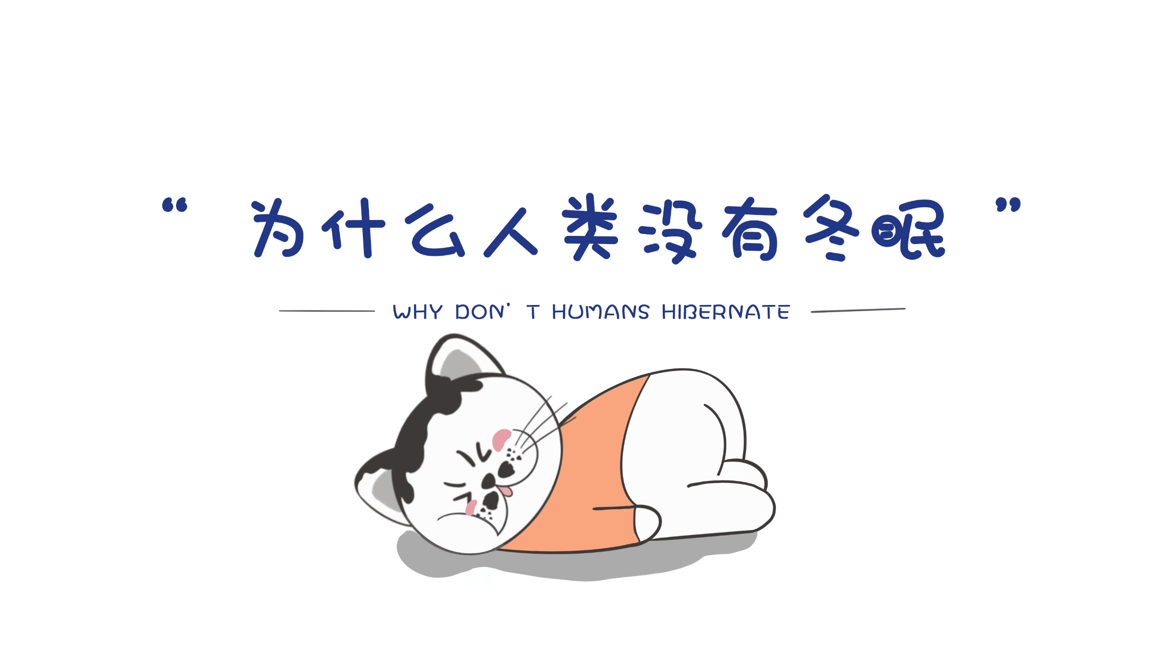学霸猫moni电脑壁纸新的一天要努力工作哦