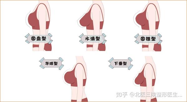 乳房的美学标准你和完美乳房之间差了点什么