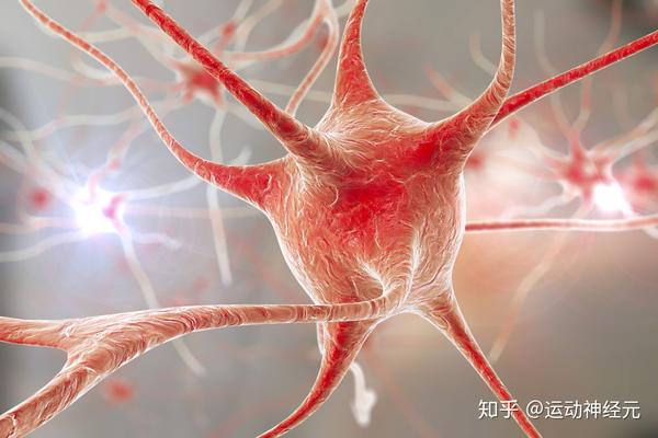 "益元健肌方剂"对运动神经元病的治疗真实有效!