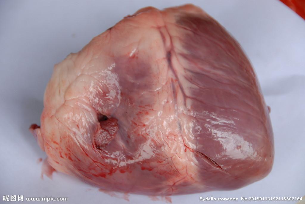 甚至猪心的部分结构通过特殊处理后可以用来修补人类心脏的部分缺损