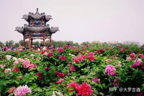 曹州牡丹园