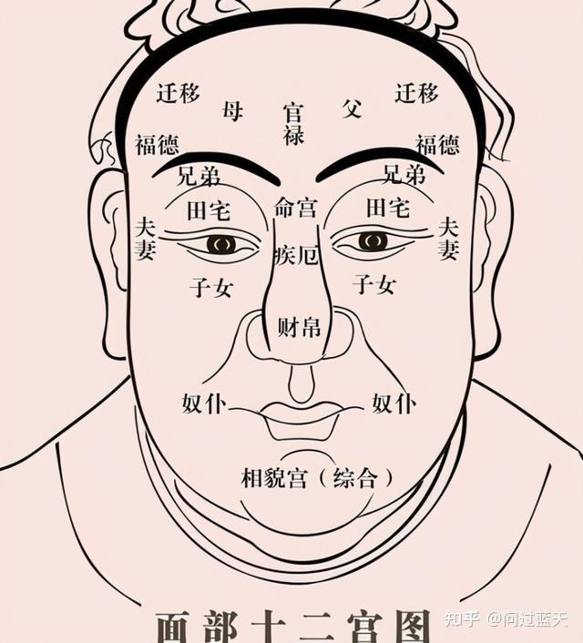 而相学则把这种经验演绎得更为彻底——它通过观察面相中"五官",就