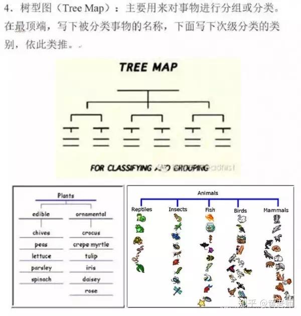 最常见的八种思维导图