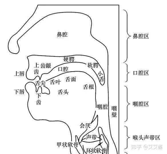 播音配音丨系统性训练丨双唇音bpm的发音练习