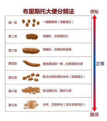 拉完屎后回头看—大便观(一)