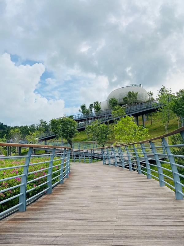 深圳北站中心公园,新晋网红打卡旅游胜地,节假日休闲度假好去处