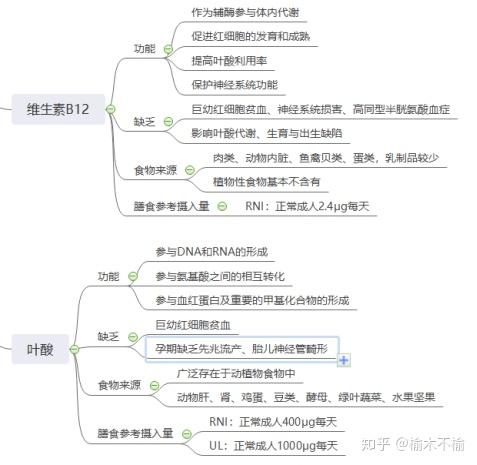 11个思维导图多张表格了解所有维生素